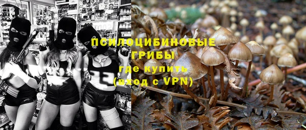 a pvp Надым