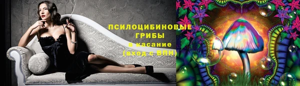 дживик Навашино