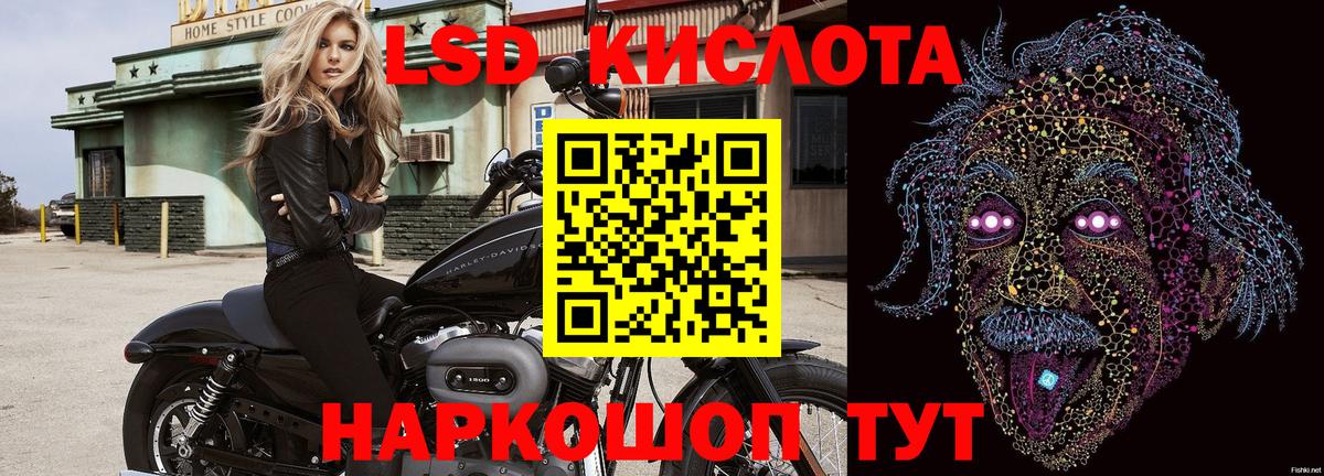 Канабис Новокубанск