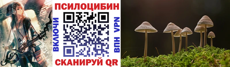 Псилоцибиновые грибы MAGIC MUSHROOMS Новокубанск