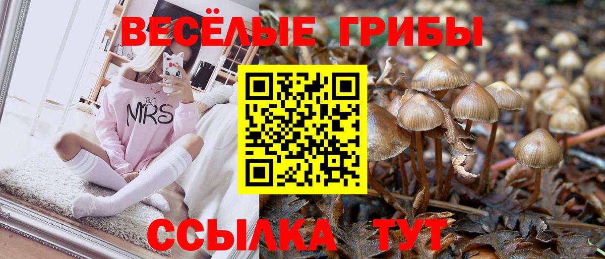 Псилоцибиновые грибы прущие грибы Новокубанск