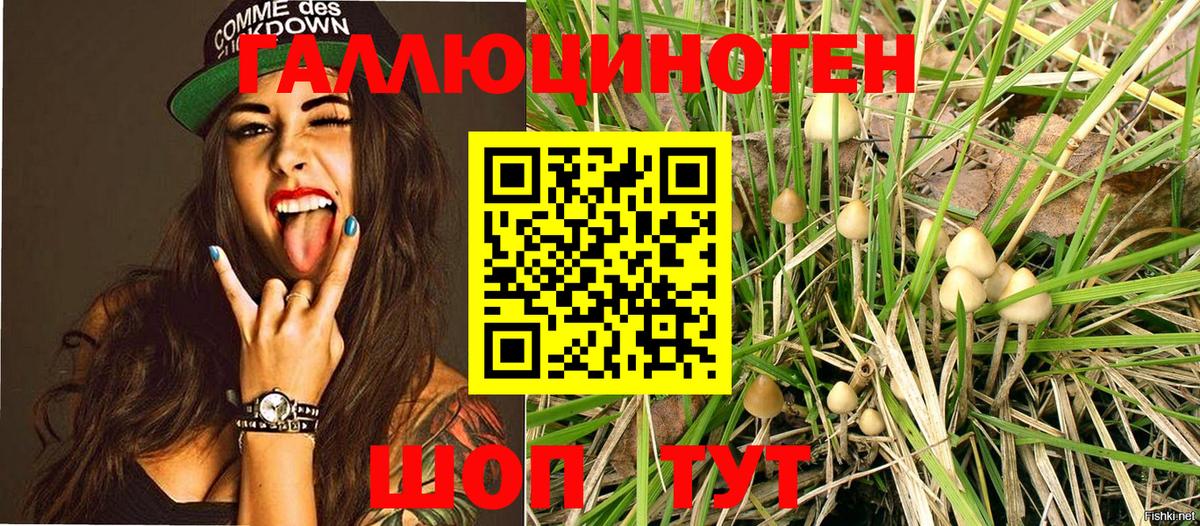 Новокубанск  Псилоцибиновые грибы Magic Shrooms  Вход с VPN  Псилоцибиновые грибы MAGIC MUSHROOMS 